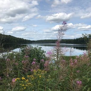 Meet your Posher, Brittney